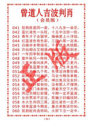 新澳门一肖中特,设计策略快速解答_整版DKJ656.74