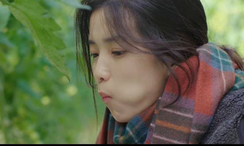 韩国电影下女,绝对策略计划研究_社交版40.12.0