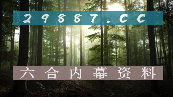 澳门一码一肖免费公开资料,设计策略快速解答_整版DKJ656.74