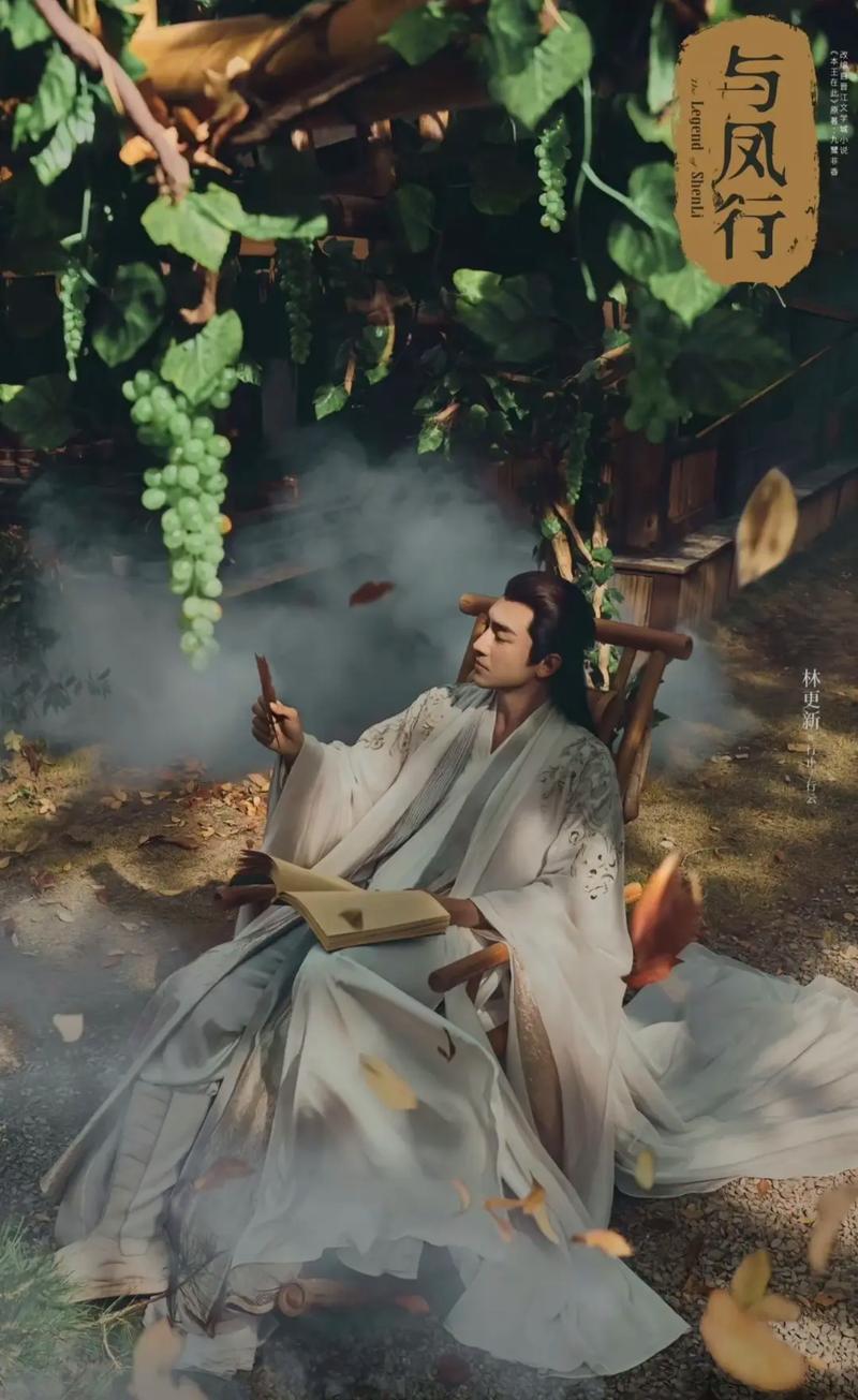 与凤行电视剧免费观看星辰影院,真实经典策略设计_VR型43.237