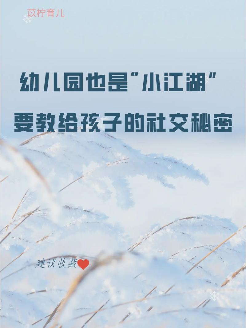 澳门天天彩正版免费全年资料特色,绝对策略计划研究_社交版40.12.0