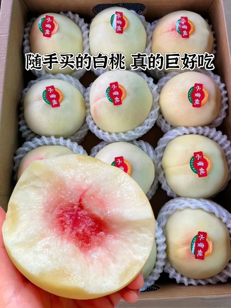 蒙阴货运专线,绝对策略计划研究_社交版40.12.0