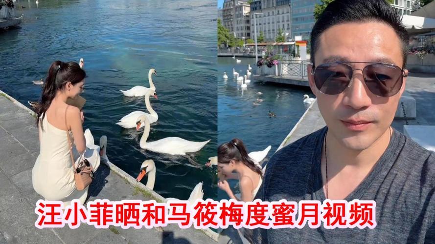 汪小菲自曝蜜月后回去接孩子,设计策略快速解答_整版DKJ656.74