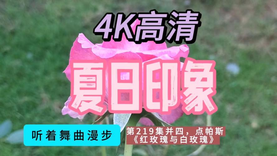 2024年11月26日 第14页