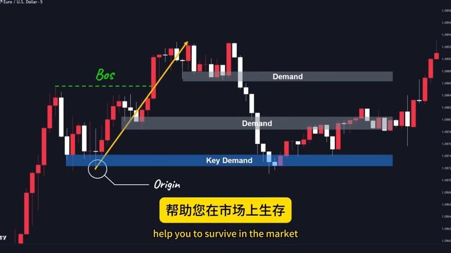 北纬31度录像带,绝对策略计划研究_社交版40.12.0