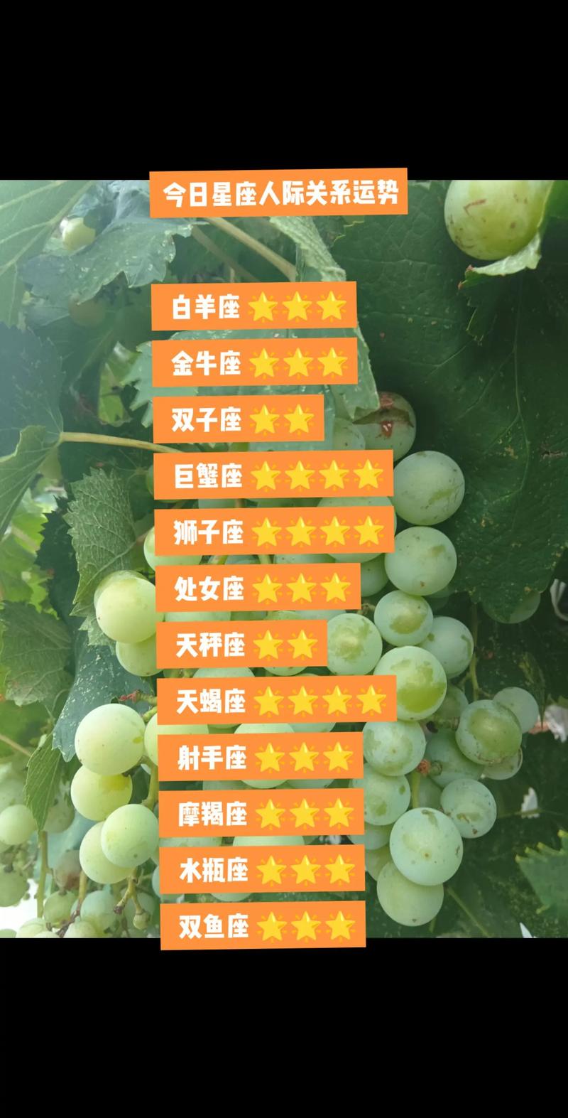 天蝎女座今日运势最准,绝对策略计划研究_社交版40.12.0