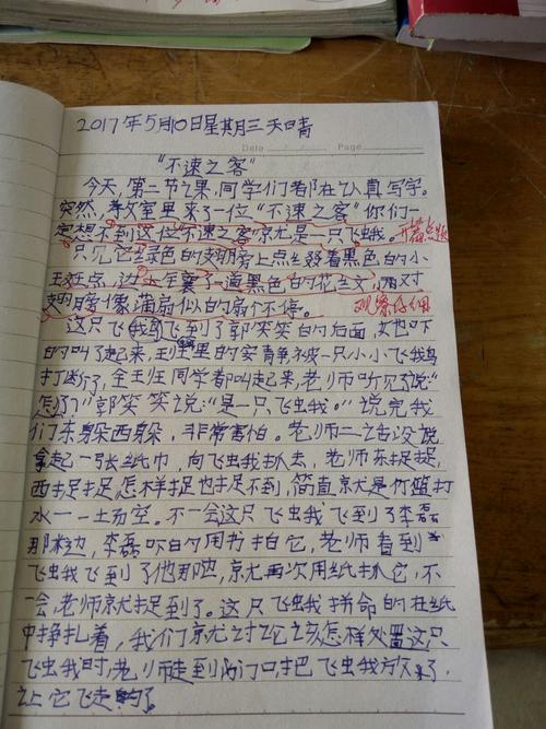 我们的交换日记,绝对策略计划研究_社交版40.12.0