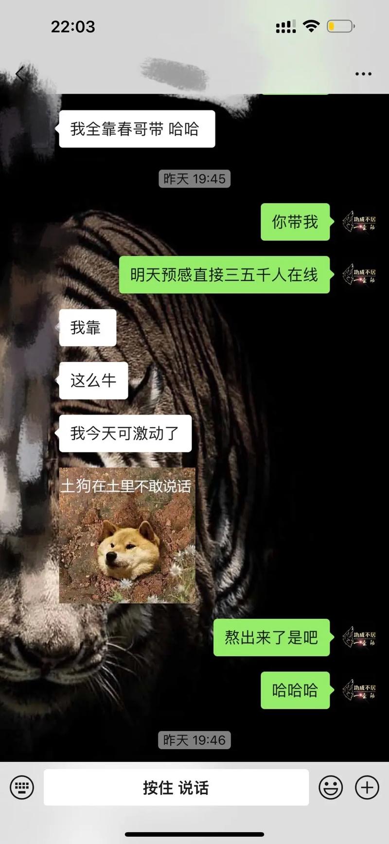 澳门神算子精准资料,设计策略快速解答_VR型43.237
