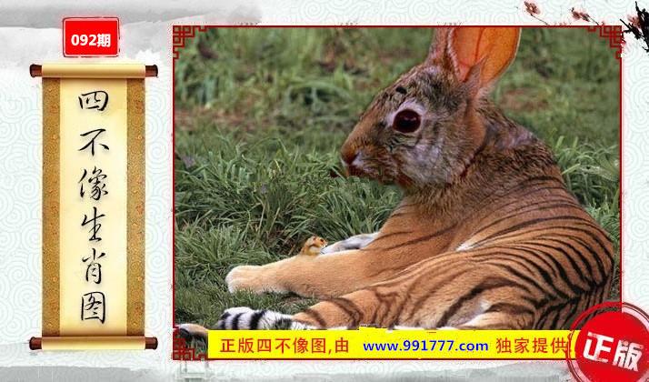 香港6合和彩生肖数字开奖,设计策略快速解答_整版DKJ656.74
