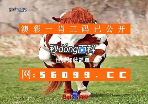 澳门最新开奖是什么,设计策略快速解答_VR型43.237