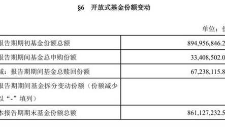 2O24管家婆一码一肖资料管家婆一码,真实经典策略设计_VR型43.237