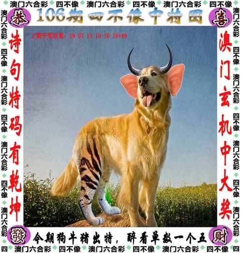 香港澳门6合和彩官网开奖结果,设计策略快速解答_VR型43.237