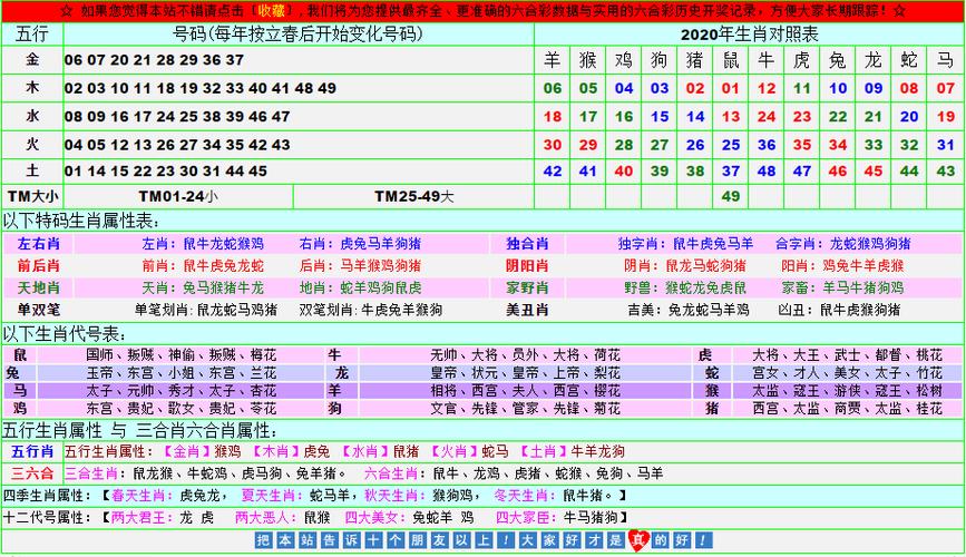 2024年12月8日 第13页