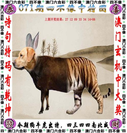 澳门四肖期期中特公开,设计策略快速解答_整版DKJ656.74