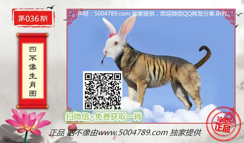 白小姐一肖一码一必中一肖,设计策略快速解答_VR型43.237