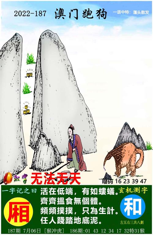 澳门最全的资料,真实经典策略设计_VR型43.237