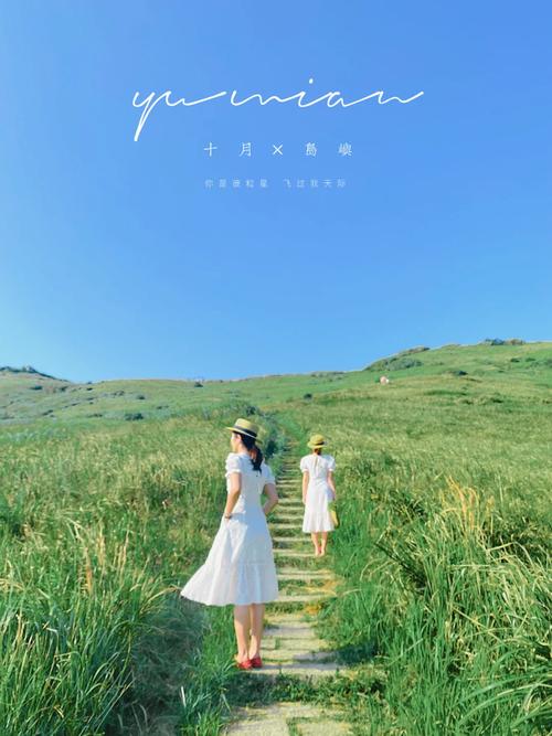韩国岛屿电影,设计策略快速解答_VR型43.237
