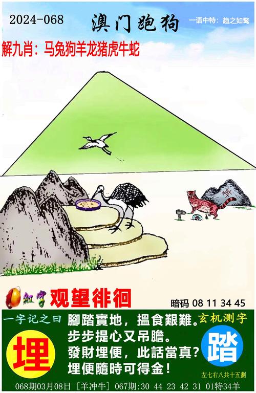 今晚澳门特马开什么今晚四不像,设计策略快速解答_整版DKJ656.74