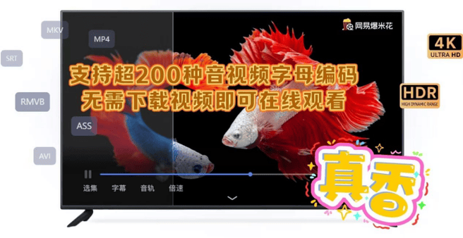 免费电影电视在线观看,真实经典策略设计_VR型43.237