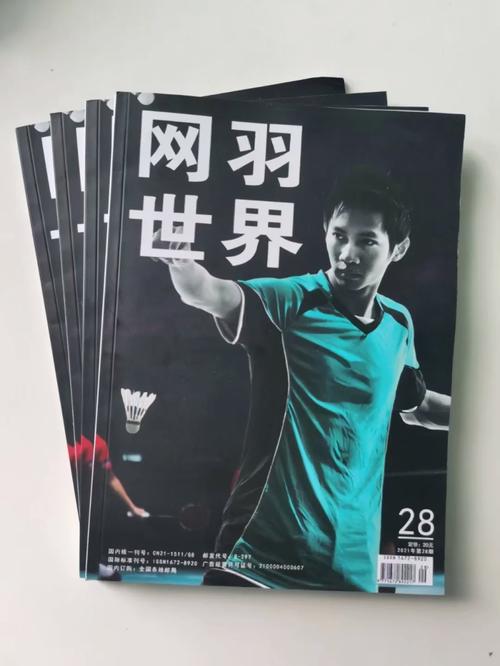 体育类的权威期刊,设计策略快速解答_VR型43.237