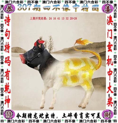 旧澳门六开彩资料查询,绝对策略计划研究_社交版40.12.0