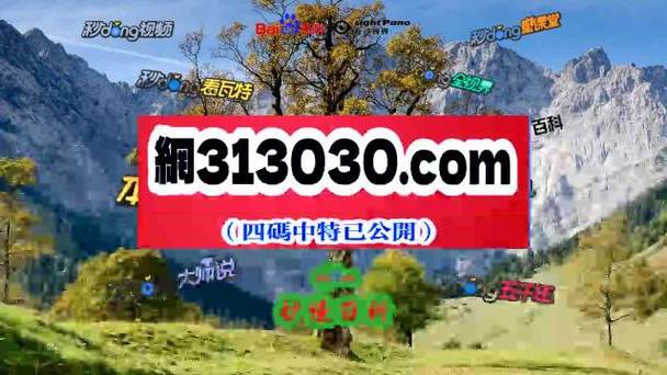 管家婆资料大全管家八十期,设计策略快速解答_整版DKJ656.74