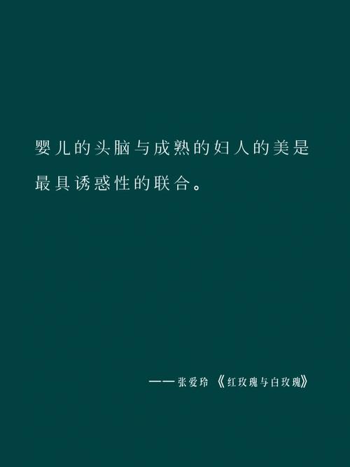 红玫瑰白玫瑰小说阅读,绝对策略计划研究_社交版40.12.0