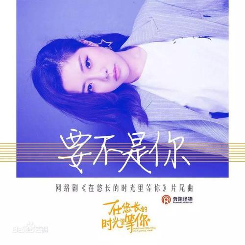 电视剧音乐会免费观看,设计策略快速解答_整版DKJ656.74