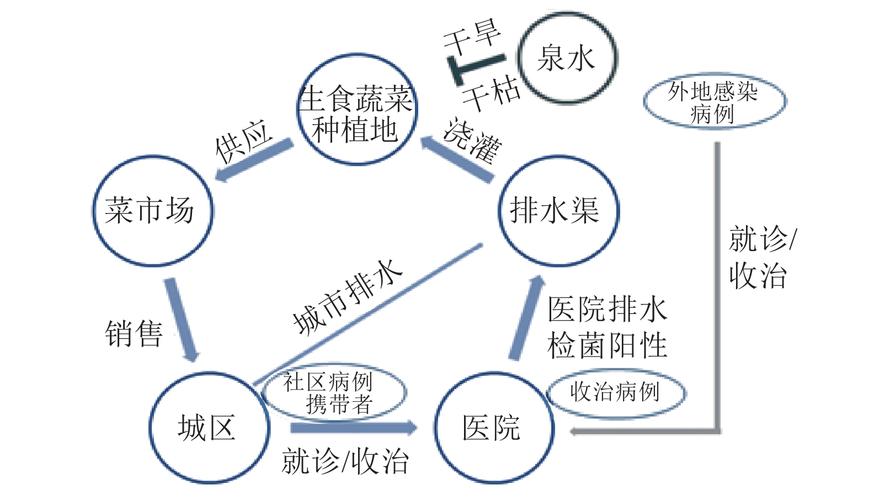 甘肃兰州出现刺激性气味正溯源调查,设计策略快速解答_VR型43.237
