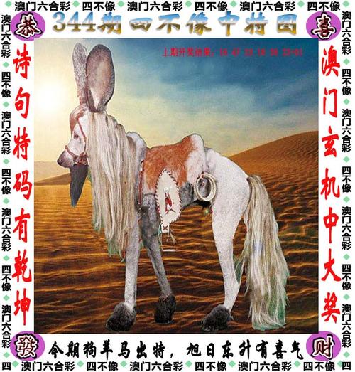 澳门六合内部一肖中特,设计策略快速解答_整版DKJ656.74