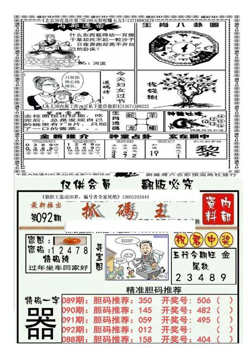 香港内部最精准免费资料黑白图库,设计策略快速解答_VR型43.237