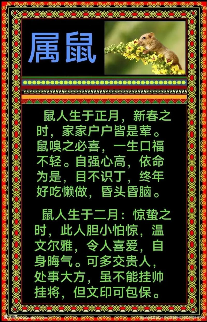 属鼠人今日财运最准,绝对策略计划研究_社交版40.12.0