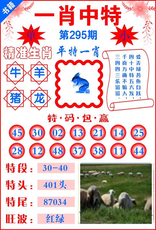 新澳门内部资料精准大全大三吧,设计策略快速解答_VR型43.237