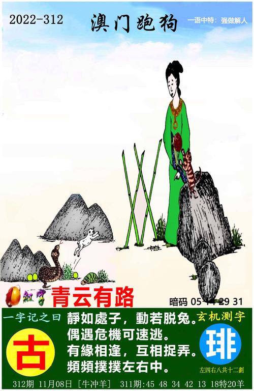 2022澳门六合全年资料,设计策略快速解答_整版DKJ656.74