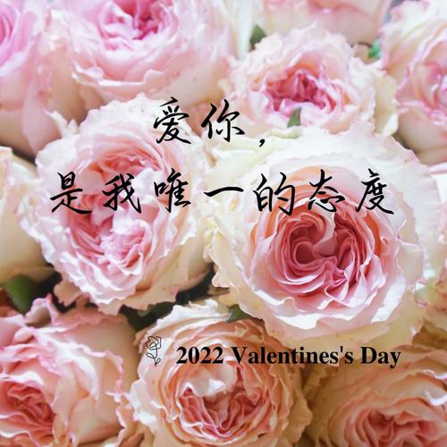 爱你心动为止第一集免费观看全集,真实经典策略设计_VR型43.237