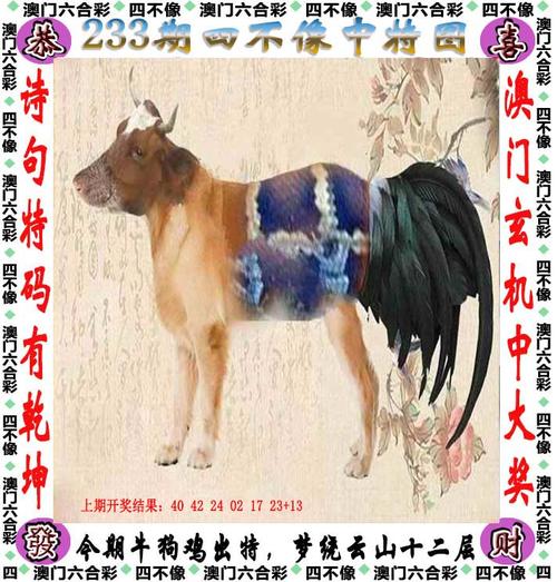 澳门特马出什么,设计策略快速解答_整版DKJ656.74