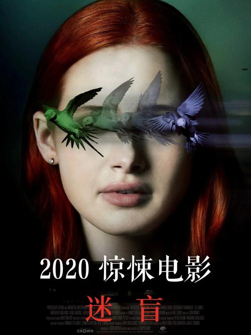 电影2020排行榜前十名,绝对策略计划研究_社交版40.12.0