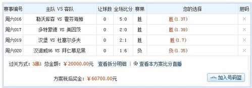 6码倍投10期方案出炉,设计策略快速解答_VR型43.237