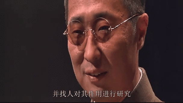 黎明之前最全60集免费观看,设计策略快速解答_整版DKJ656.74