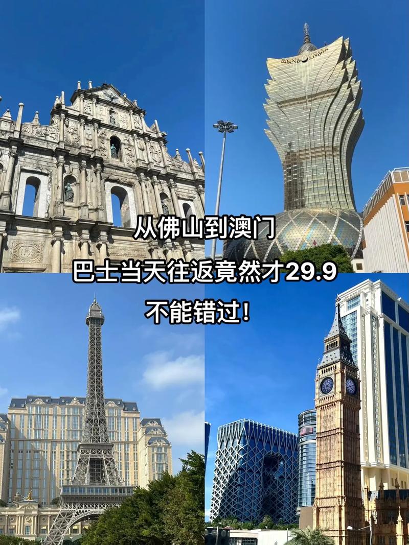 澳门九龙资料论坛新手攻略,绝对策略计划研究_社交版40.12.0