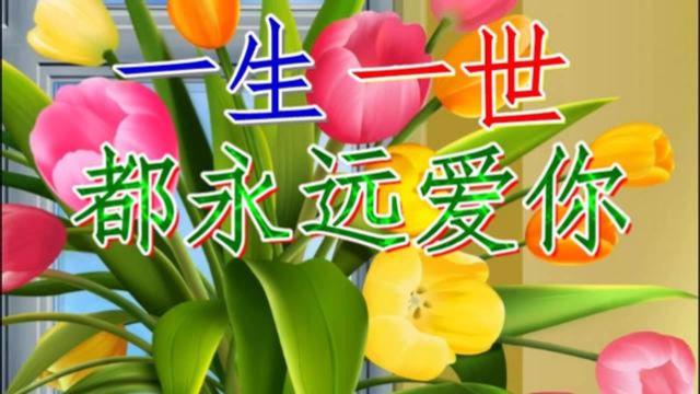 用一生来爱你免费观看完整版电视剧,设计策略快速解答_VR型43.237