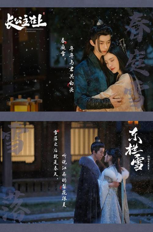 东栏雪短剧免费观看高清,真实经典策略设计_VR型43.237