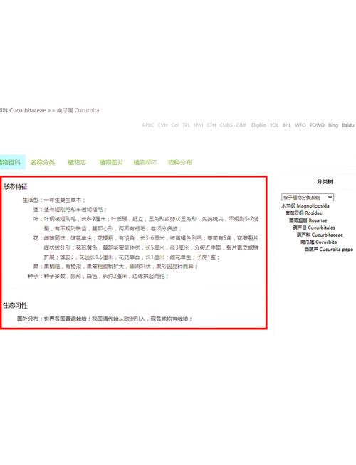 西葫芦的生活,绝对策略计划研究_社交版40.12.0