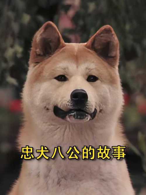 2025年3月 第2页