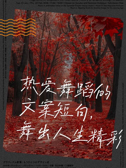 舞出我人生4演员表,设计策略快速解答_VR型43.237