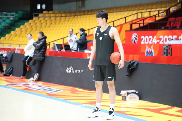 山东高速男篮:已解聘9人,设计策略快速解答_VR型43.237