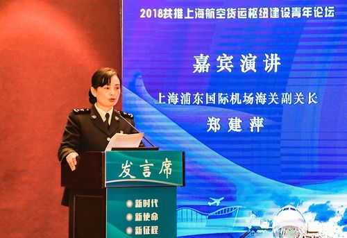 上海货运全国,设计策略快速解答_整版DKJ656.74