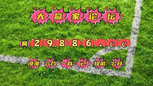 澳门特马是什么,设计策略快速解答_整版DKJ656.74