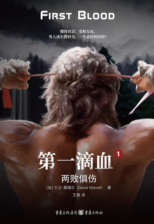 第一滴血4国语版高清完整版免费,设计策略快速解答_整版DKJ656.74