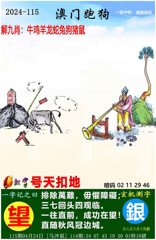新澳精准免费资料大全,设计策略快速解答_整版DKJ656.74